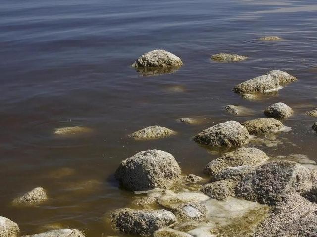 cod是什么污染物，cod測定儀如何使用？