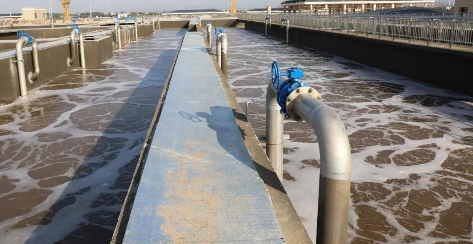 氨氮超標(biāo)的危害！